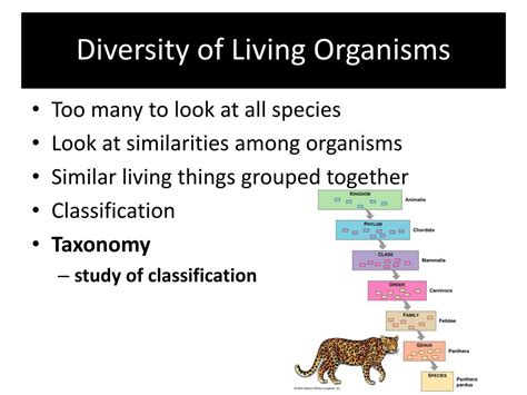 Ppt Diversity Of Living Organisms Powerpoint