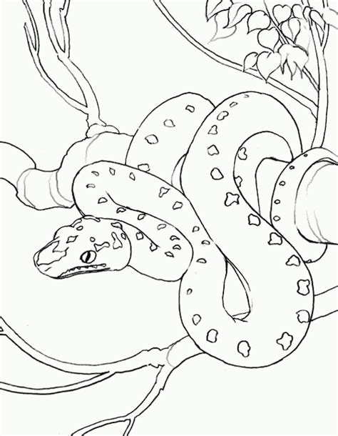 Discover our coloring pages of snakes to print and color for free ! Sarpe - Planse de colorat si educative