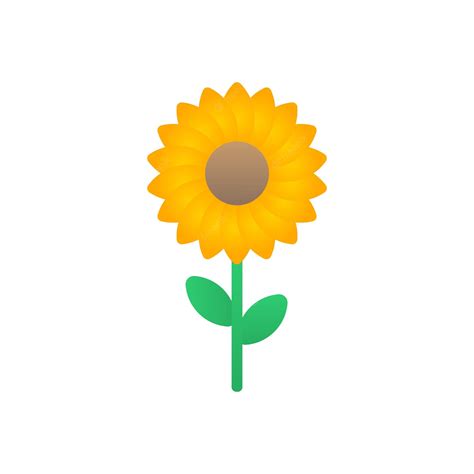 Premium Vector Sunflower Vector Illustration
