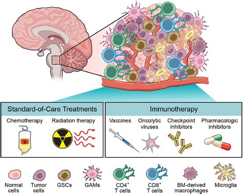 Current Knowledge On The Immune Microenvironment And Emerging