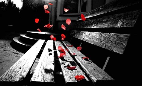 363,000+ vectors, stock photos & psd files. 50 Best Romantic Pictures To Show Your Love - The WoW Style