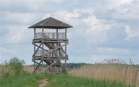 High Wooden Bird Watching Tower Stock Image Image Of Wooden