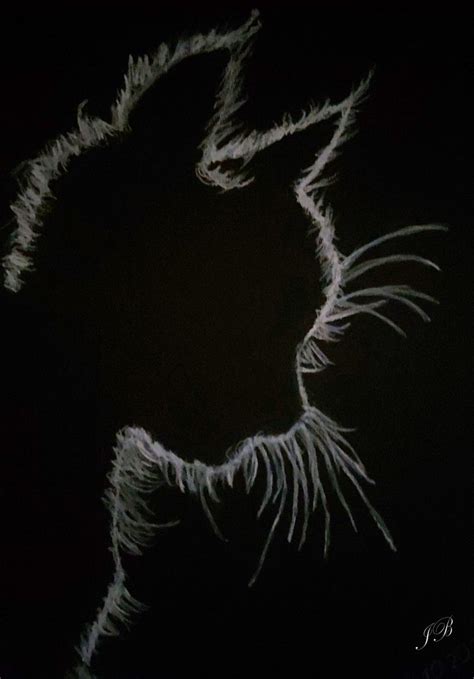 Weißer Kreidestift Auf Schwarzem Papier Shadow Drawing Easter Drawings