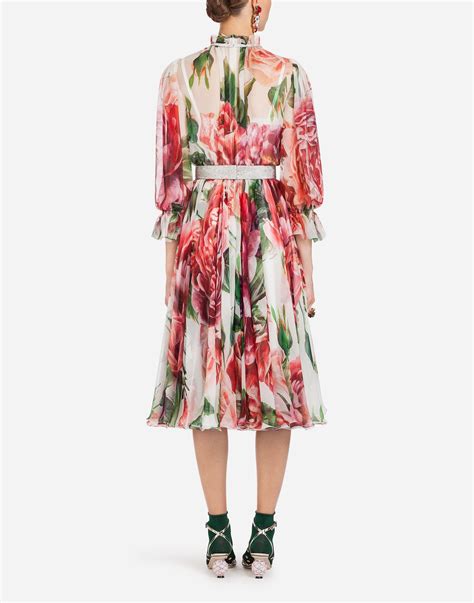 Dolce Gabbana Peony Print Dress In Chiffon In Floral Print Red Lyst