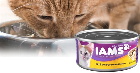 The last note that i mention regarding kirkland is that amazon is not the only competitor carrying the private label. Amazon: IAMS Pate Wet Cat Food 24-Pack Only $8.19 Shipped ...