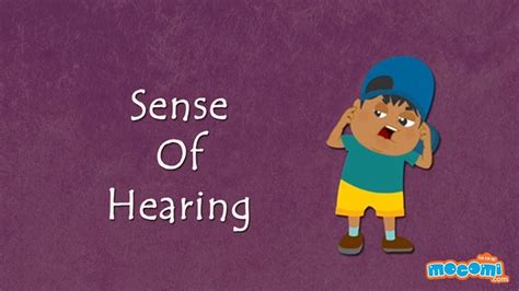 Sense Of Hearing How The Body Works Human Senses Science For Kids
