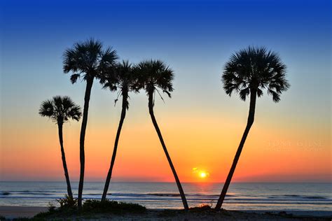 Daytona Beach Sunrise Tony Giese Professional Photographer