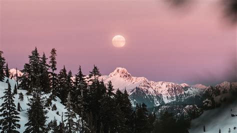 Download Wallpaper 1366x768 Mountain Snow Sky Branches Moon Tablet