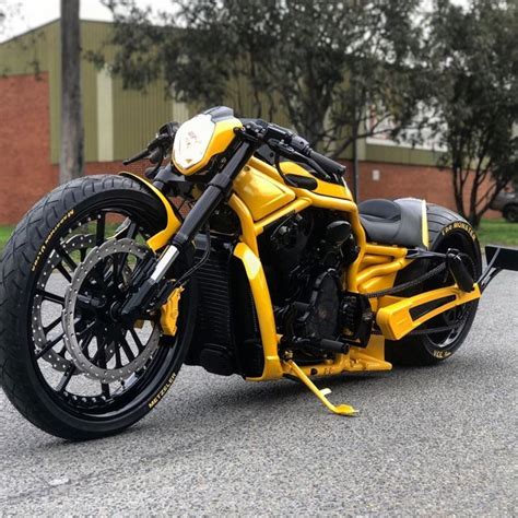 Harley Davidson V Rod Owned By Mongrel From Australia