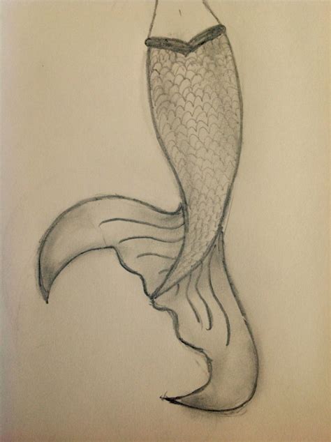 Mermaid Tail Drawing At Getdrawings Free Download