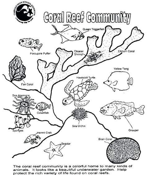 Arctic Habitat Coloring Pages At Free