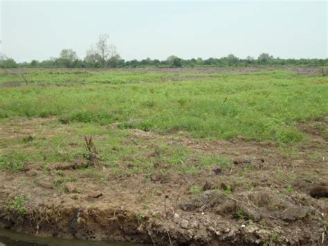Hak-Hak Atas Tanah Menurut UU Pokok Agraria ~ AB Property