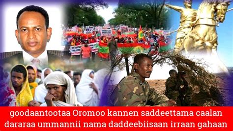 Oduu Voa Afaan Oromoo Jun 112021 Youtube