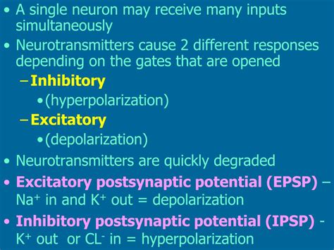 Ppt Neurons Synapses And Signaling Powerpoint Presentation Free Download Id 6238219