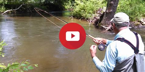 North Georgia Fly Fishing Blue Ridge Reelem In Guide Service