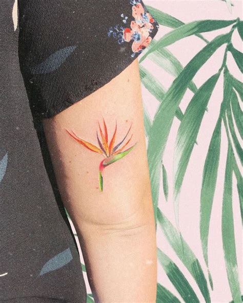 A Bird Of Paradise Tattoo On The Left Arm