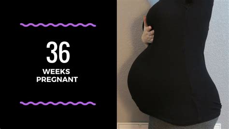 36 Week Pregnancy Update Youtube