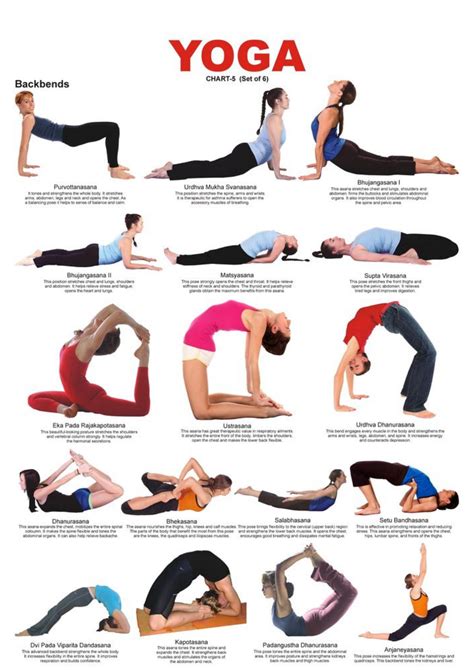 Different Backward Bend Yoga Asanas The Elysium Yoga Backbend