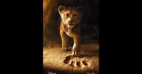 Le Roi Lion Film 2019 Canal Plus - Le Roi lion (2019), un film de Jon Favreau | Premiere.fr | news, date