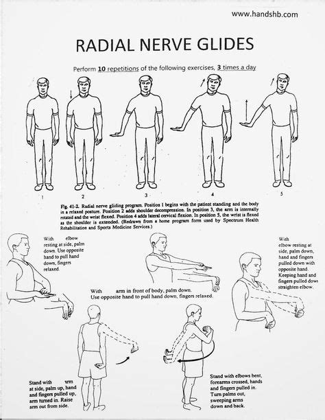 Radial Nerve Glides With Images Physical Therapy Exercises Hand