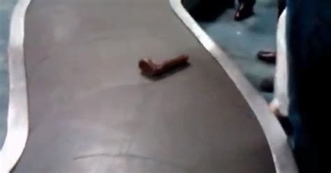 Worlds Loneliest Dildo Filmed On Airport Baggage Carousel Is Utterly