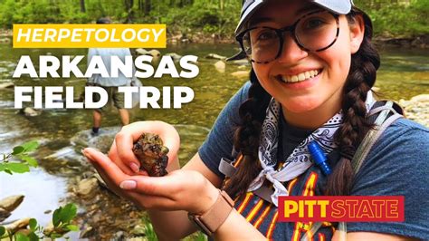 Catching Salamanders And Snakes In Ouachita Mountains Of Arkansas