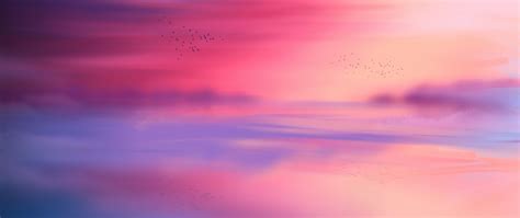 Pink Sky Wallpaper 4k Horizon Scenic Flying Birds