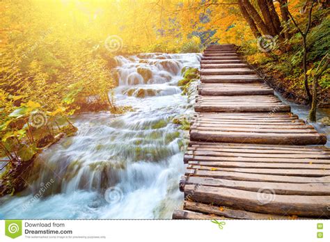 Scenic Waterfalls And Wooden Path Picturesque Autumn