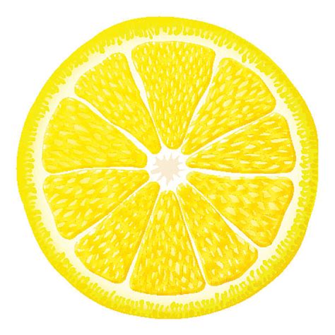 Royalty Free Lemon Slice Clip Art Vector Images And Illustrations Istock