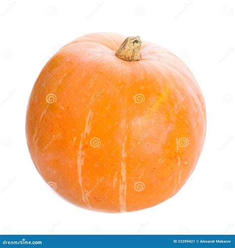 Orange Pumpkin Stock Image Image Of Food Treat Autumn 23399421