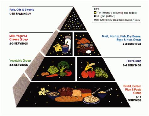 Food Pyramid Atkins Diet Healthy Light Loos Weight Eat Right