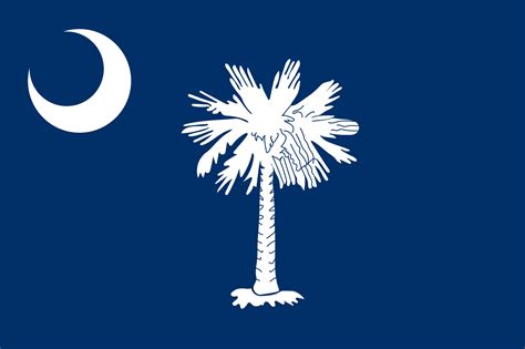 Flagge Von South Carolina Bild Und Bedeutung Der Flagge Von South Caro