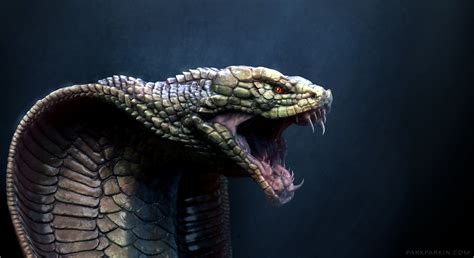 Most Viewed Cobra Wallpapers 4k Wallpapers