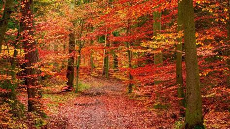 10 Reasons Why Autumn In Europe Is The Best Time To Go Robe Trotting