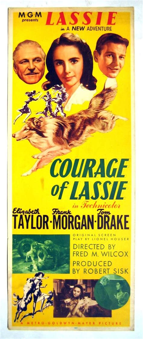 Lot 439 1 Piece Movie Poster Courage Of Lassie