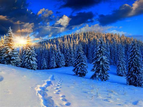 Inverno primeira paisagem de neve HD wallpaper 10 Visualização