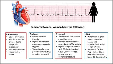 Sex Differences In Patients With Atrial Fibrillation Abbreviations Download Scientific