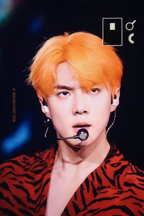 Sehun Orange Hair Hair Color Orange Orange Hair Sehun