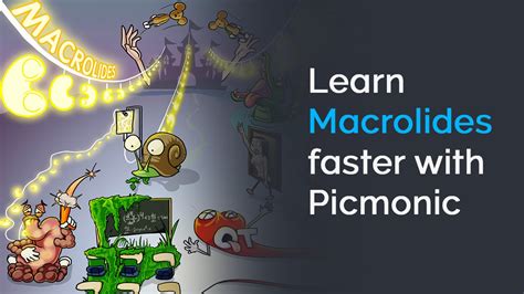 Learn Macrolides Faster With Picmonic Nclex Nursing School Youtube