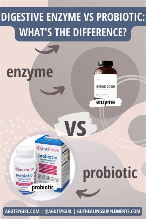 Enzyme Vs Probiotic A Gutsy Girl Healthy Bacteria Healthy Gut
