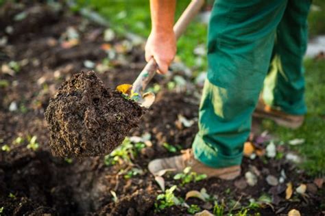 How To Start A Garden Prepping Soil Simple Living Country Gal
