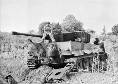 Tiger Tank Of The 508th Heavy Panzer Battalion Tiger Tank War Tank