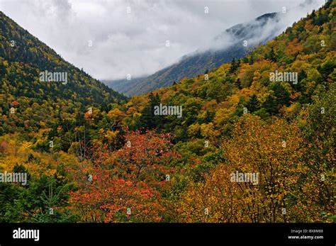 Autumn Color In Crawford Notch In The White Mountains National Forest