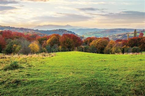 Beautiful Autumn Countryside In Mountain At Dusk Stock Photo Image Of