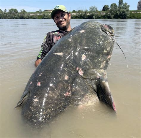 Fisherman Lands World Record Size Catfish That Stretches Over 9 Feet