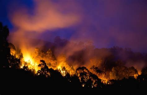 Why We Must Be Ready For Bushfires This Summer Pursuit By The