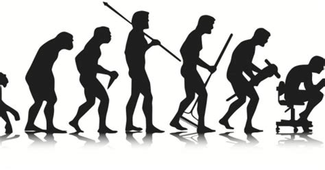Desenho Da Evolução Humana
