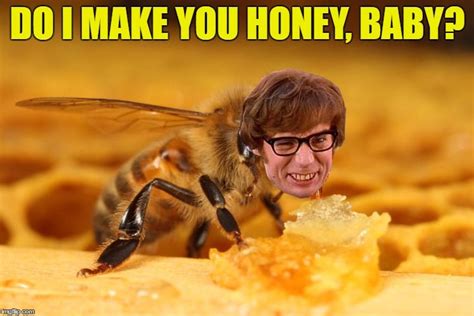 Honey Bee Meme Get News Chase