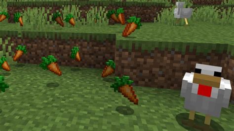 Minecraft Carrots Location Uses And More Firstsportz