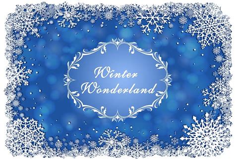 Blue Winter Wonderland Backdrop Vinyl Printed White Snowflakes